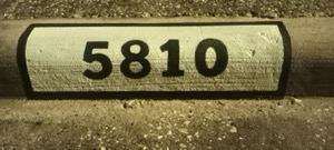 Basic Curb Address with Blk Border